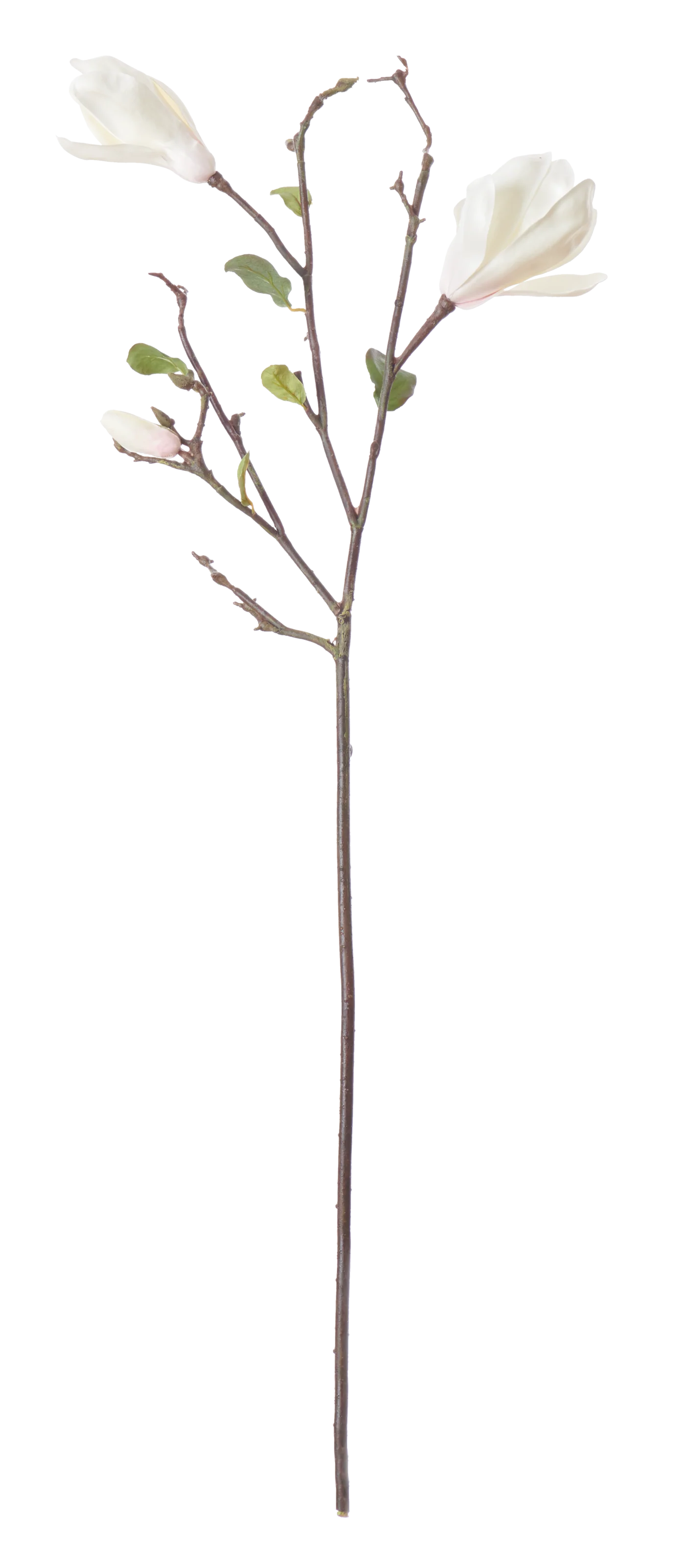 Magnolia Branch White - Image 9